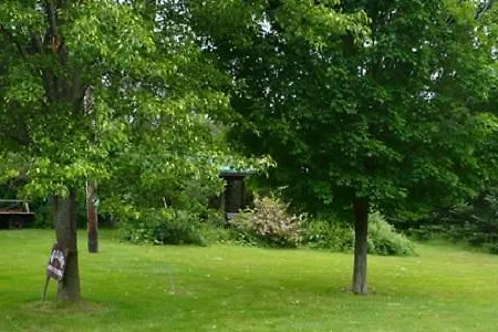 The South Glenora Tree Farm-3