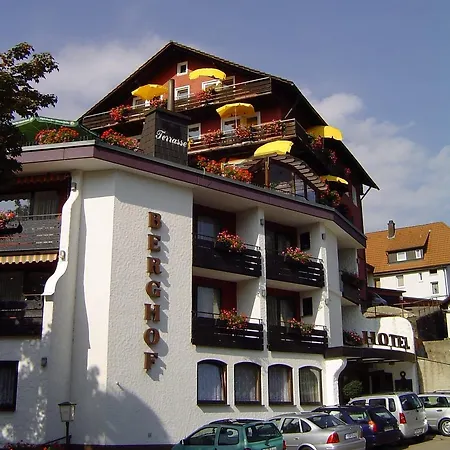 Panoramahotel Berghof-2