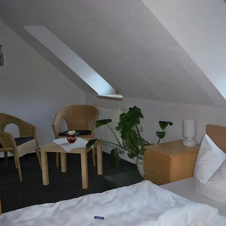 Gasthof zum Döhlerwald-2