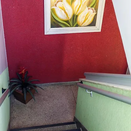 Hotel Oasis-3