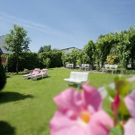 Hotel Springiersbacher-Hof-3
