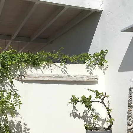 Casa Verdazul-3