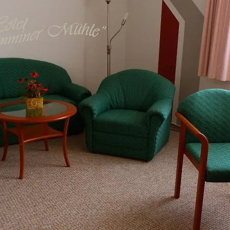 Hotel Demminer Mühle-3