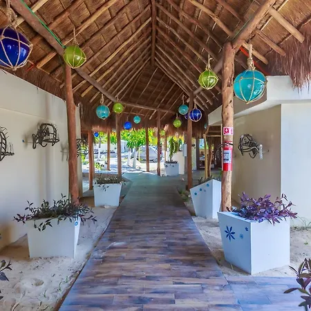 Hotel Paradise Suites-2