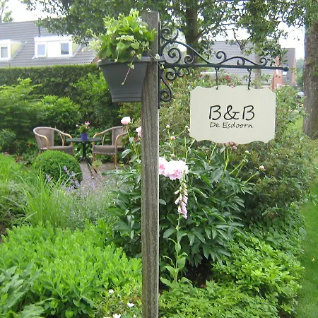 B&B De Esdoorn-3