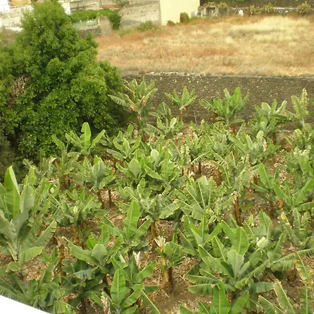 Hotel Tejuma-3
