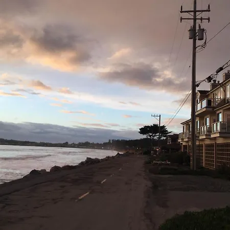 The Oceanfront Stay On Miramarbeach Hmb-2
