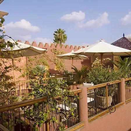 Riad Noga-3