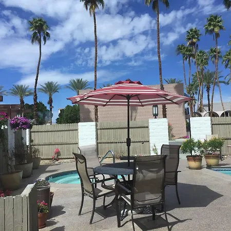 Palms-3