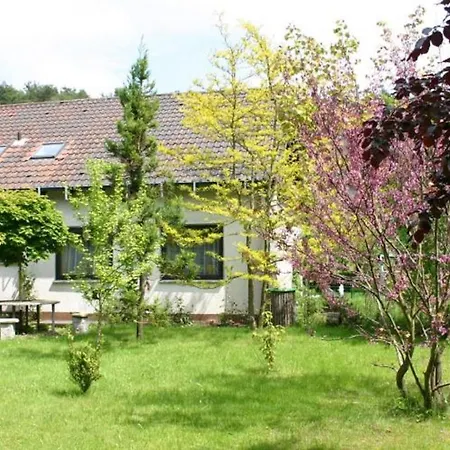 Pension Haus zum Schlehenberg-3