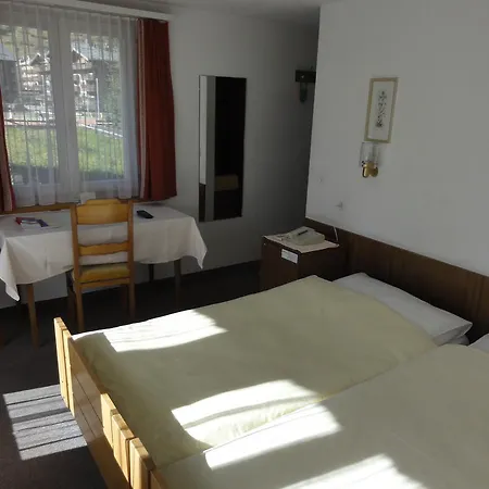Hotel Alfa Zermatt-3