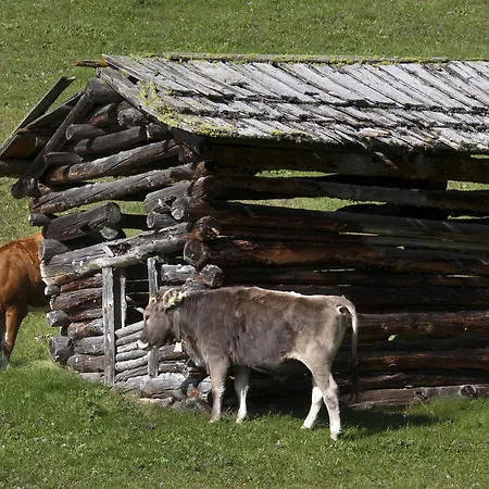 Hotel Edelweiss-3