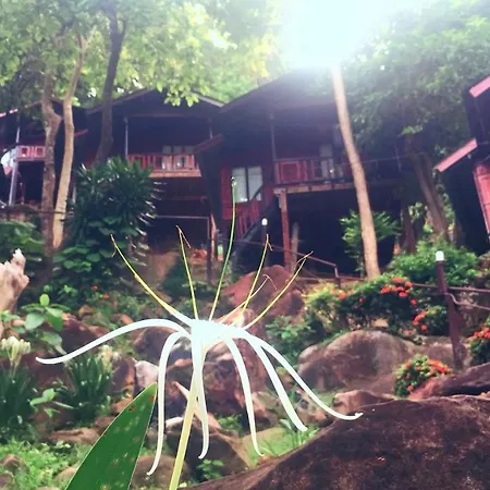 Phi Phi Green Hill Resort-2