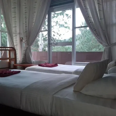 Hotel Sun Breeze-3