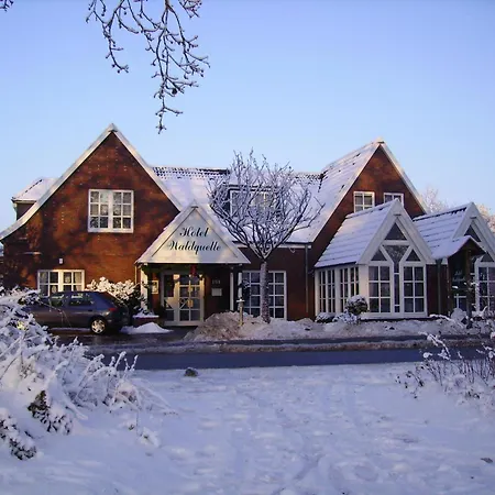 Hotel Waldquelle-3