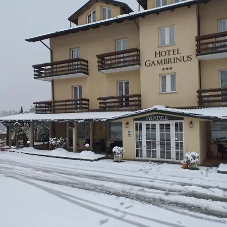 Hotel Gambrinus-3