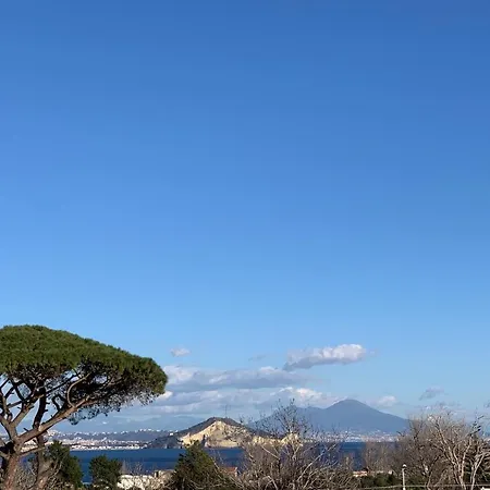 B&B Mediterraneo-2