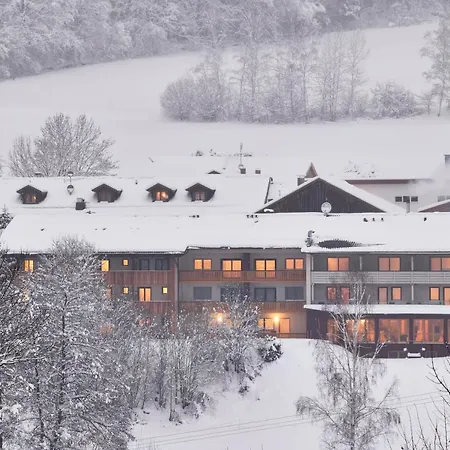 Hotel der Bäume-3