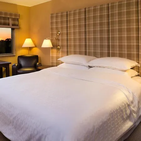 Sheraton Hotel Minneapolis Midtown-2