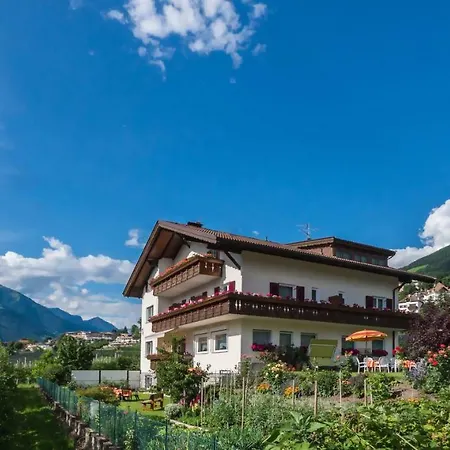 Guesthouse Pension Grafenstein-3