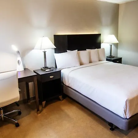 Americana Modern Hotel-2