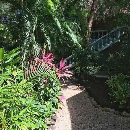 Harbor Reef Hotel-2