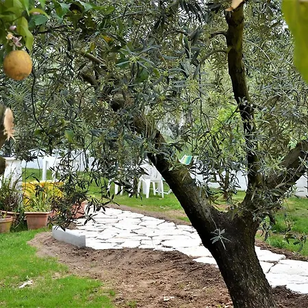 b&b Il Girasole Formia Guesthouse-3