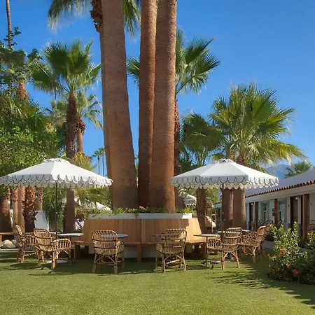 Dive Palm Springs Hotel - 21 & Over-3