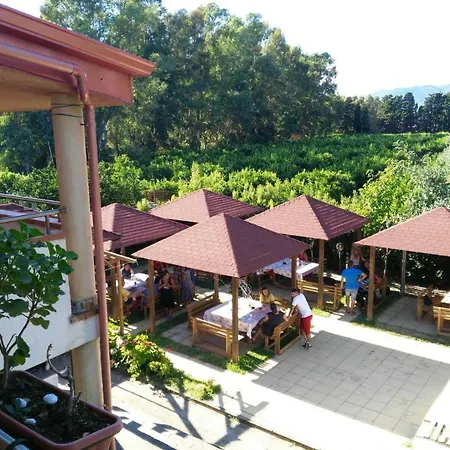 B&B Pineta Mare-3