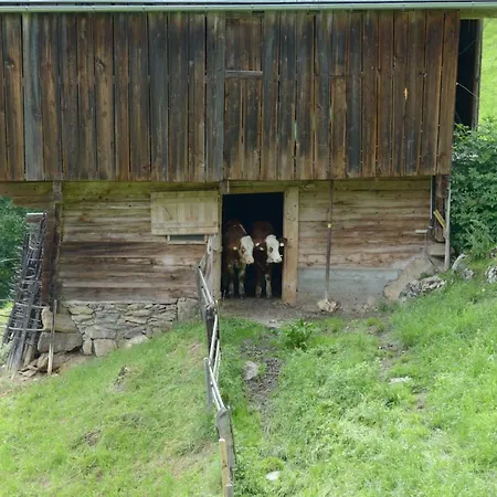 Bergpension-Ebental-2