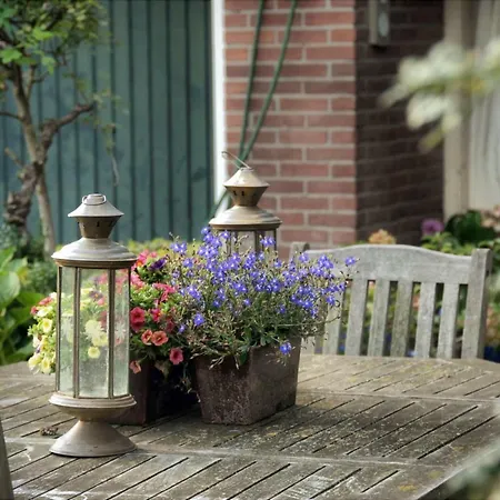 Sterrenhoeve-2