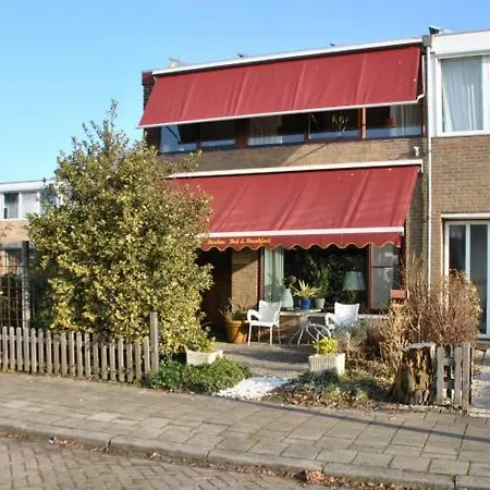 Bordine Guesthouse-2