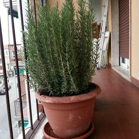 La via per Milano-2