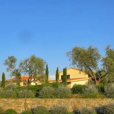 Macchiabuia-2