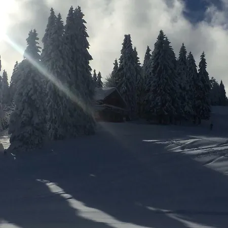 Auerhahn-3