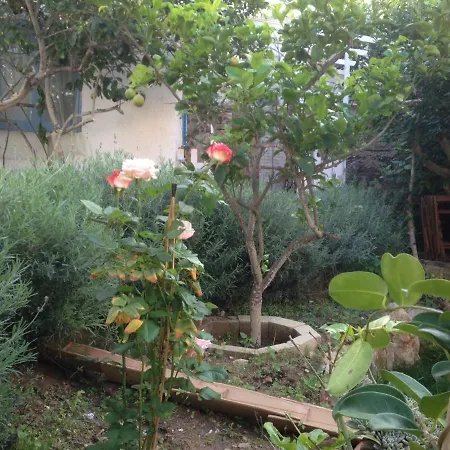 La Casa del Limoneto-2