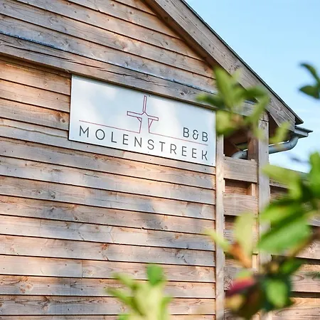 B&B Molenstreek-3