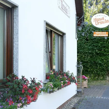 Pension Haus Ursula-3