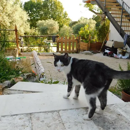 La Casa Di Paglia-2