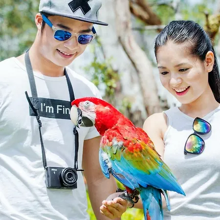 Vinpearl Discovery Greenhill Phu Quoc-2