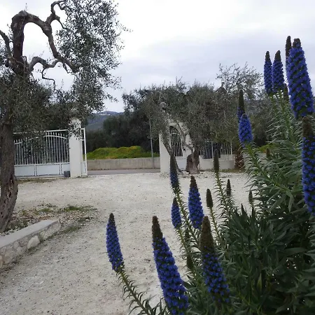 B&B Masseria Liberatore-3