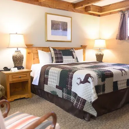 Forest Motel & Woodland Retreat-3