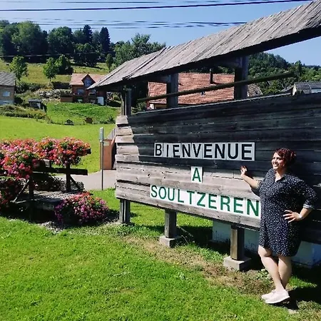 Résidence-Chambres d'hôtes du Gérardmer Chez Raoul- Soultzeren-3