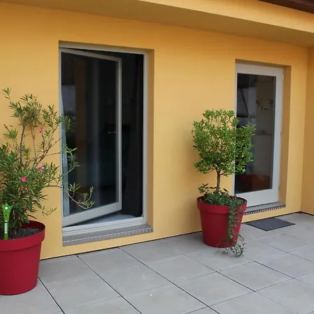 Maison d'Hôtes Le Cep d'Or Alsace-3