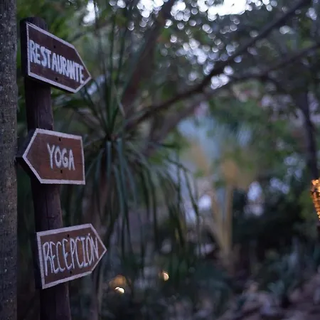El Alquimista Yoga Spa-2