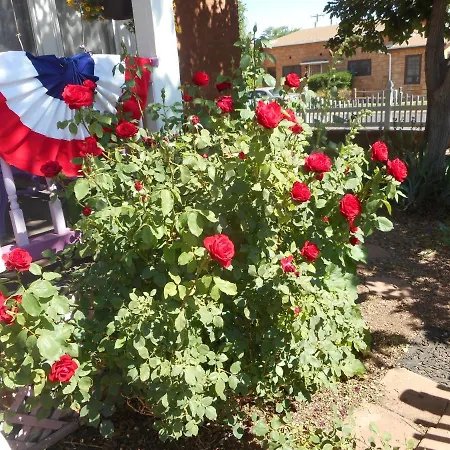 Violet Rose B&B-2