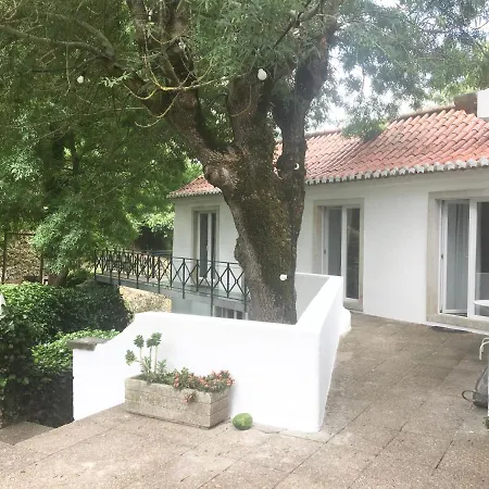 Sintra Center Guest House Escape To Nature-3