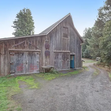 Meadow Redwoods-2