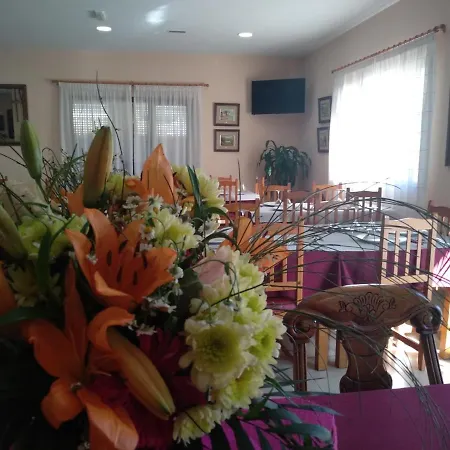Hotel Primavera-3