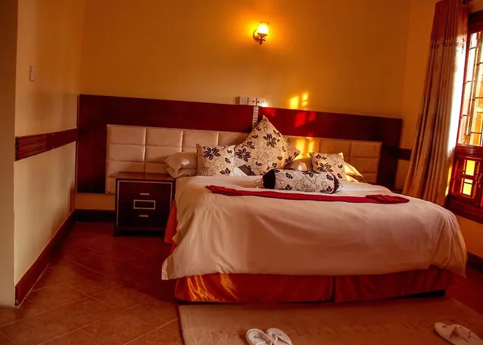 The Charity Hotel International